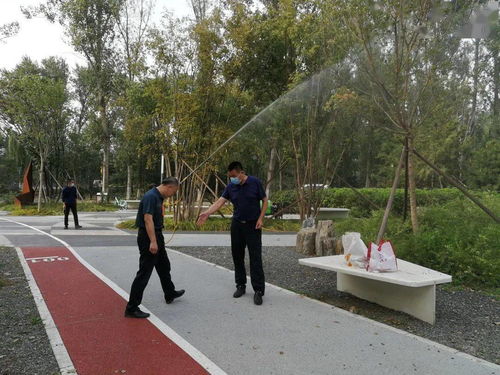 區(qū)園林綠化局采取'四不兩直'方式深入檢查城市森林建設(shè)工程及園林綠化工程施工