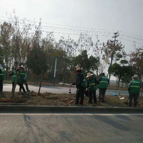 經(jīng)開(kāi)區(qū)市政園林綠化工程推薦 秋樂(lè)園林，價(jià)格優(yōu)惠助力城市綠化管理