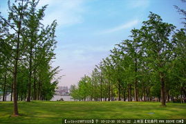 城市綠化管理中的道路景觀與園林節(jié)點(diǎn)設(shè)計(jì)資料應(yīng)用