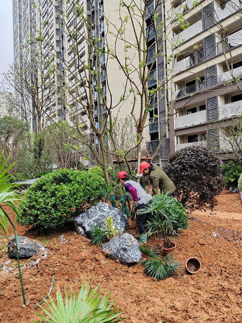 園林綠化工程 從設(shè)計(jì)到施工，打造宜居小區(qū)景觀